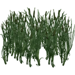 Totora (Hispa Designs) (271 KB) Totora (Hispa Designs)