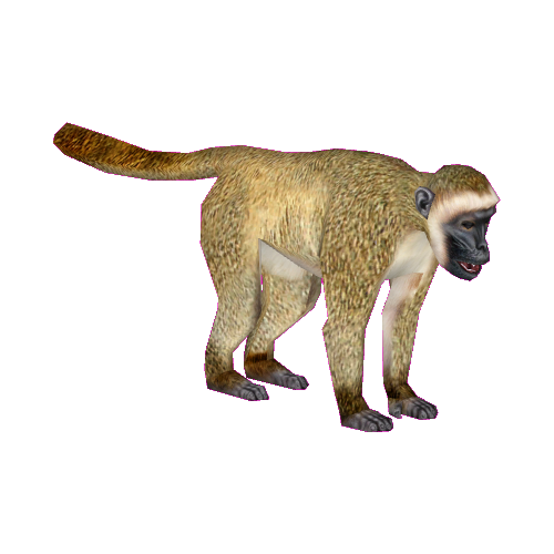 Vervet Monkey (Tamara Henson) | ZT2 Download Library Wiki | Fandom