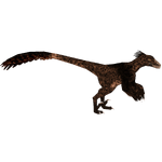 Utahraptor (Tyranachu)