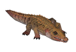 Vegetarian Crocodile (BRR)