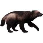 Wolverine (Aurora Designs) (367 KB) Wolverine (Aurora Designs)