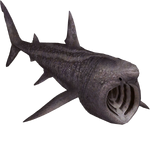 Basking Shark (Zerosvalmont)