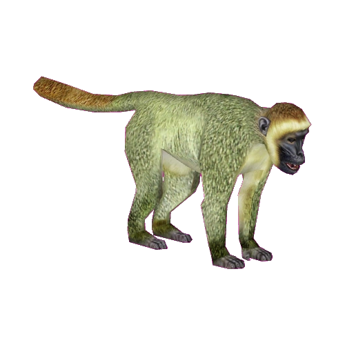 Vervet Monkey (Tamara Henson) | ZT2 Download Library Wiki | Fandom