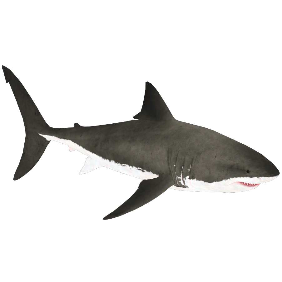 【FaB】Loan Shark GF Loan Shark | High Seas | Star City Games
