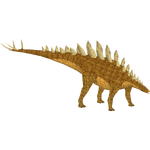 Stegosaurus (Iguanoraptor123)/Version 1
