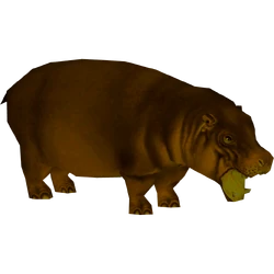 Category:Purple Hippo | ZT2 Download Library Wiki | Fandom