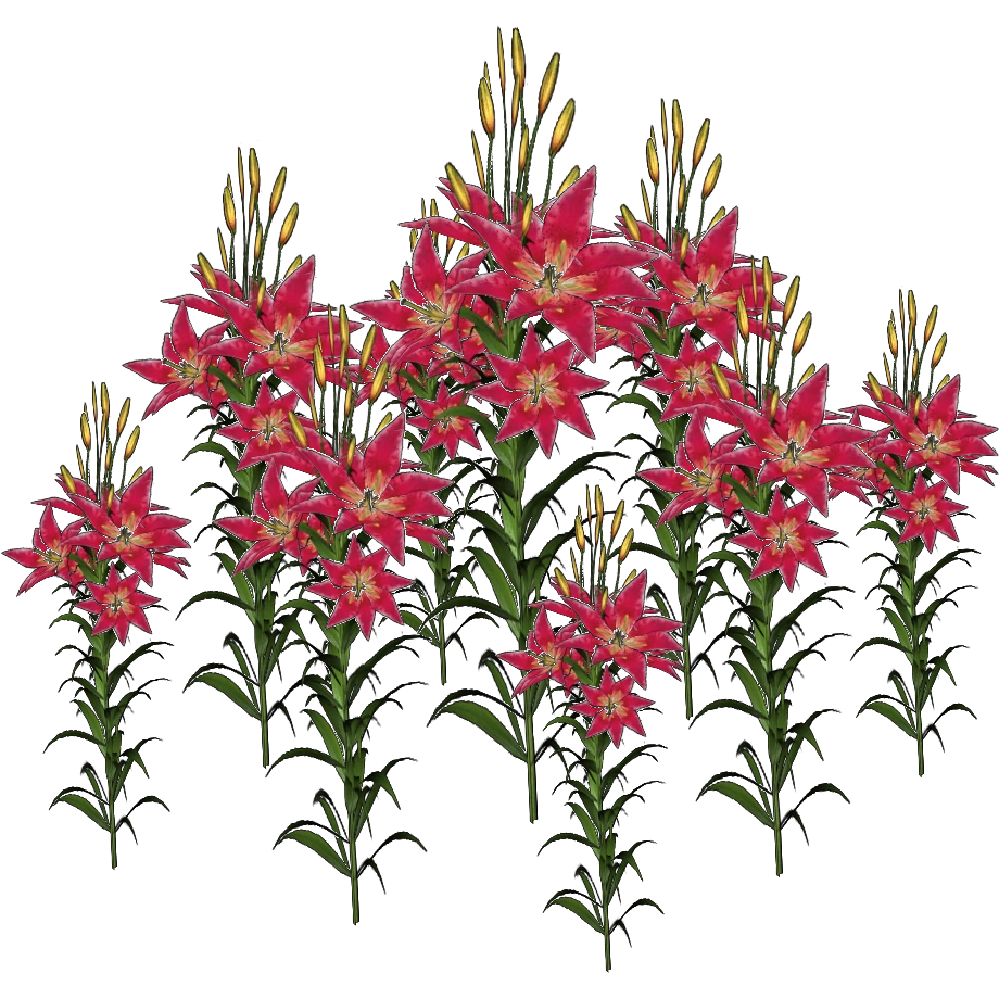 Oriental Lily (Demon Hunter) | ZT2 Download Library Wiki | Fandom