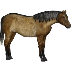 Category:Horse Pack (Tamara Henson) | ZT2 Download Library Wiki