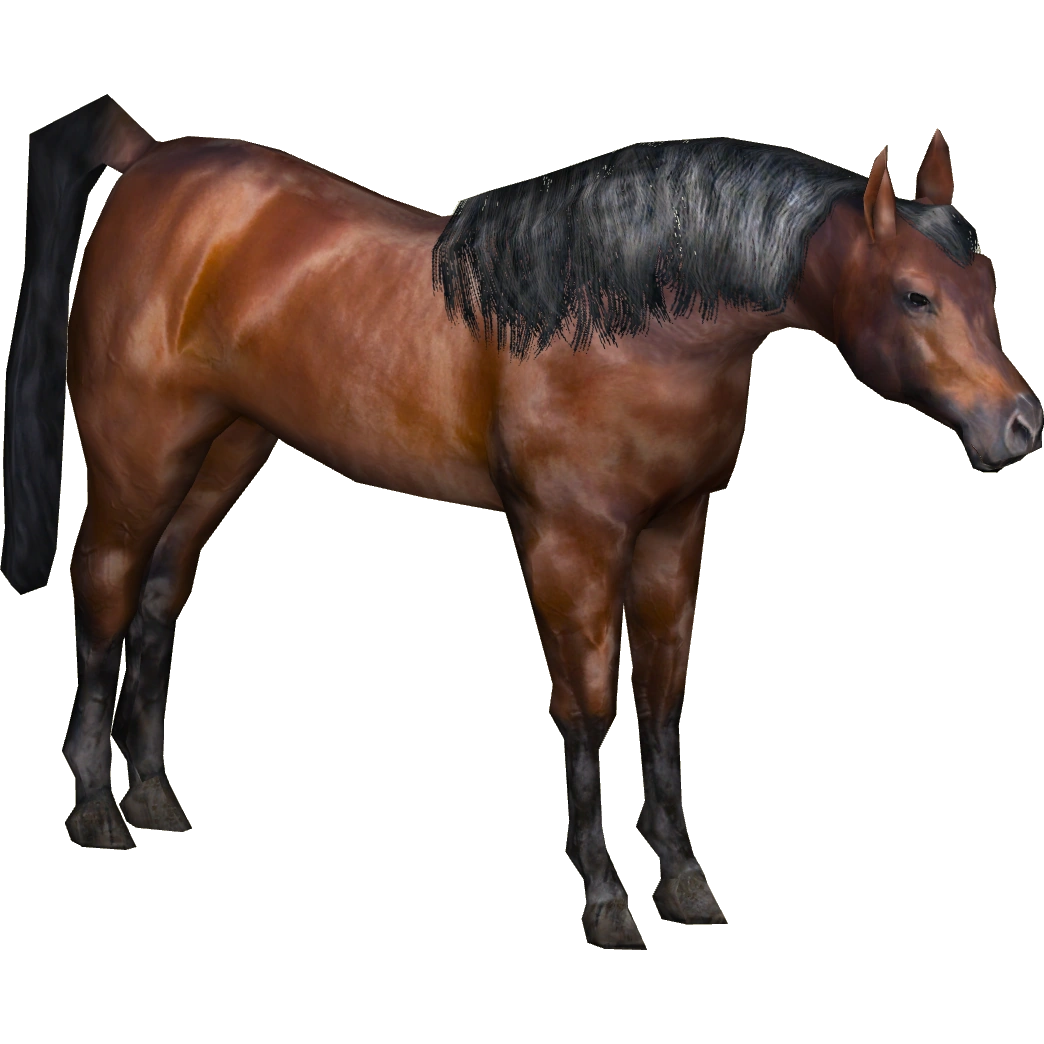 Arabian Horse (RiasCreations) | ZT2 Download Library Wiki | Fandom