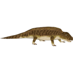 Sphenacodon (Bunyupy)