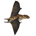 Anurognathus (16529950)