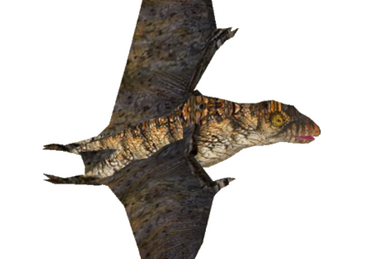Myllokunmingia (Imago) | ZT2 Download Library Wiki | Fandom