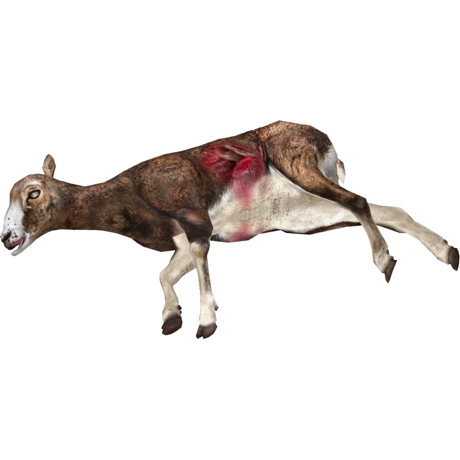 Animal Carcasses (Tyranachu) | ZT2 Download Library Wiki | Fandom Animal Carcasses (Tyranachu) | ZT2 Download Library Wiki | Fandom