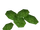 Nopales (Bunyupy)