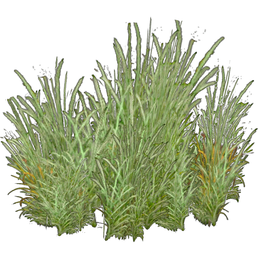 Sagebrush (The Restorers) ZT2 Download Library Wiki Fandom