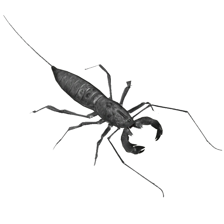 Giant Vinegaroon (Ulquiorra) ZT2 Download Library Wiki Fandom