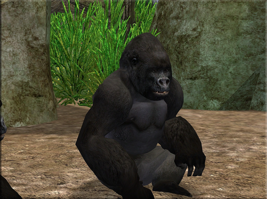 Western Lowland Gorilla (JimmyzHoopz) | ZT2 Download Library Wiki