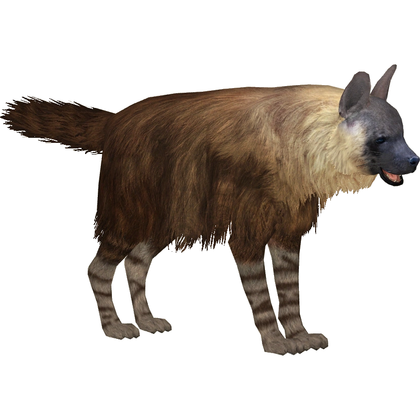 Brown Hyena (Lgcfm) | ZT2 Download Library Wiki | Fandom