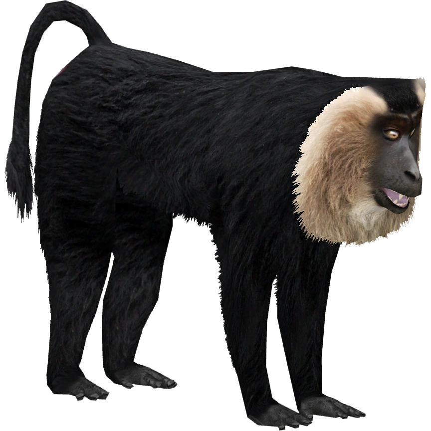 Lion-tailed Macaque (Ulquiorra) | ZT2 Download Library Wiki