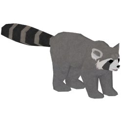 Category:Procyonids | ZT2 Download Library Wiki | Fandom