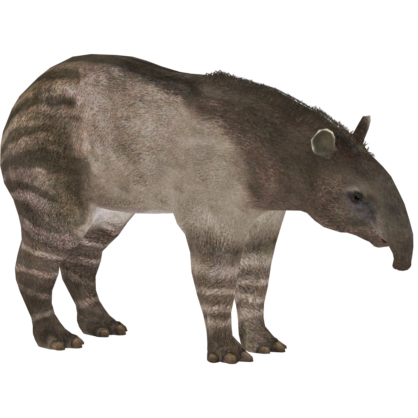 Webb's Tapir (Demon Hunter) | ZT2 Download Library Wiki | Fandom