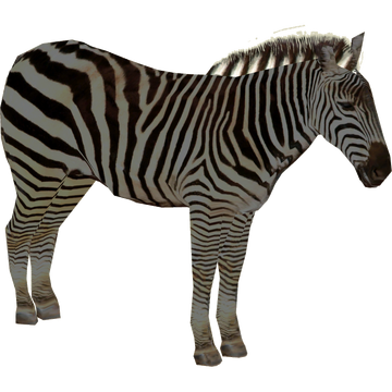 Grant's Zebra (DutchDesigns) | ZT2 Download Library Wiki