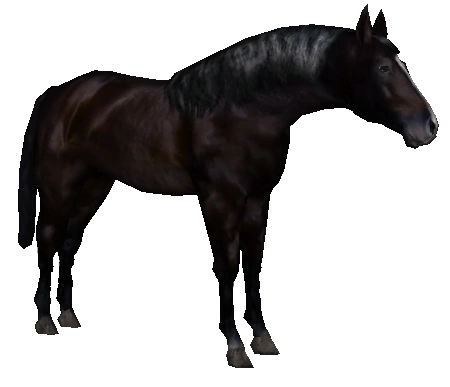 Holsteiner Horse (Platypus) | ZT2 Download Library Wiki | Fandom