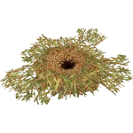 Termites Food (Ulquiorra)