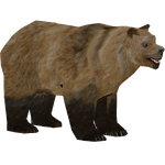 Nelson's Grizzly Bear (Tamara Henson)