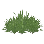 Lady Fern (Demon Hunter)