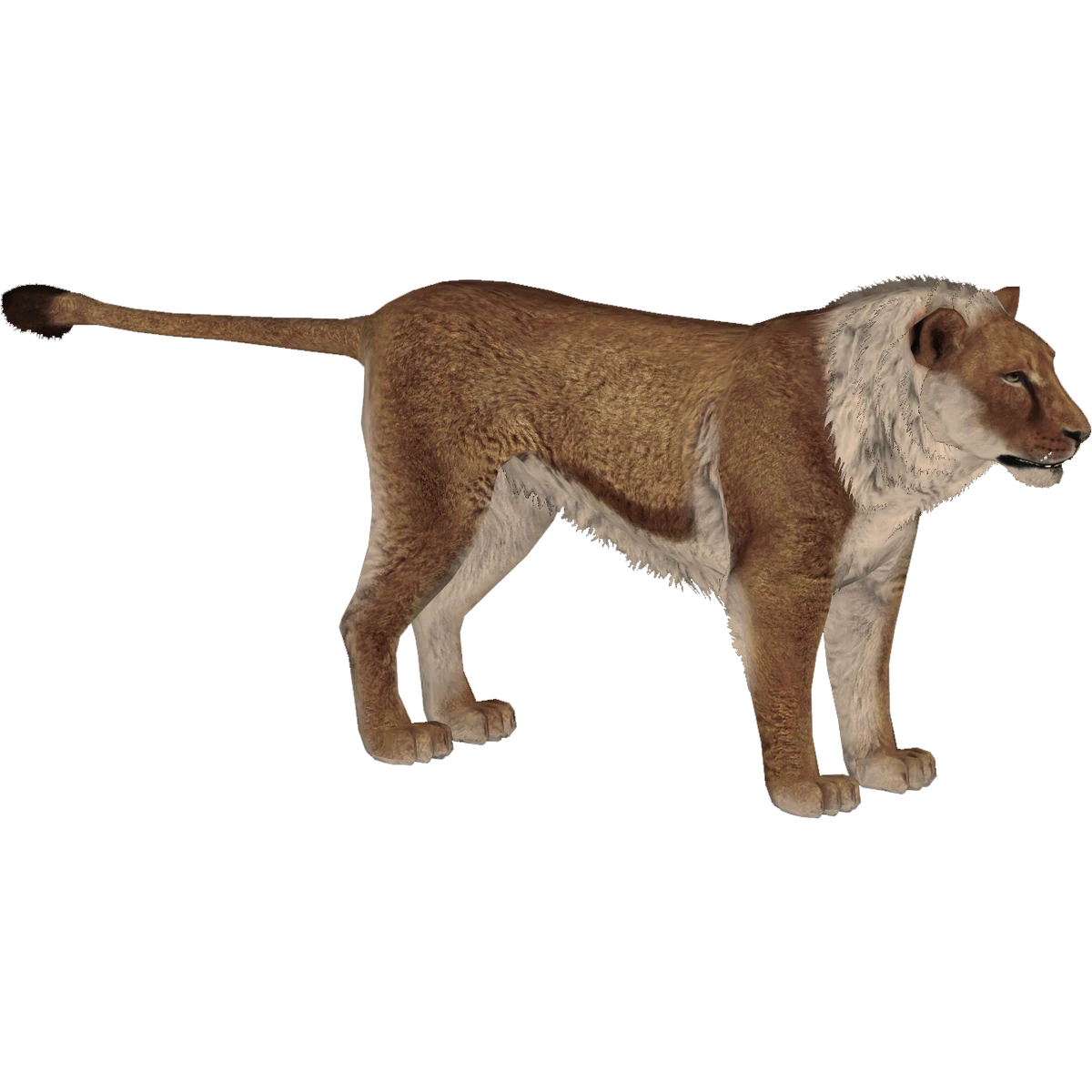 ライオン Toyota Land Cruiser 4.6ZX 🛞 Manufactured Year: 2018/2022 🔥TIPTOP