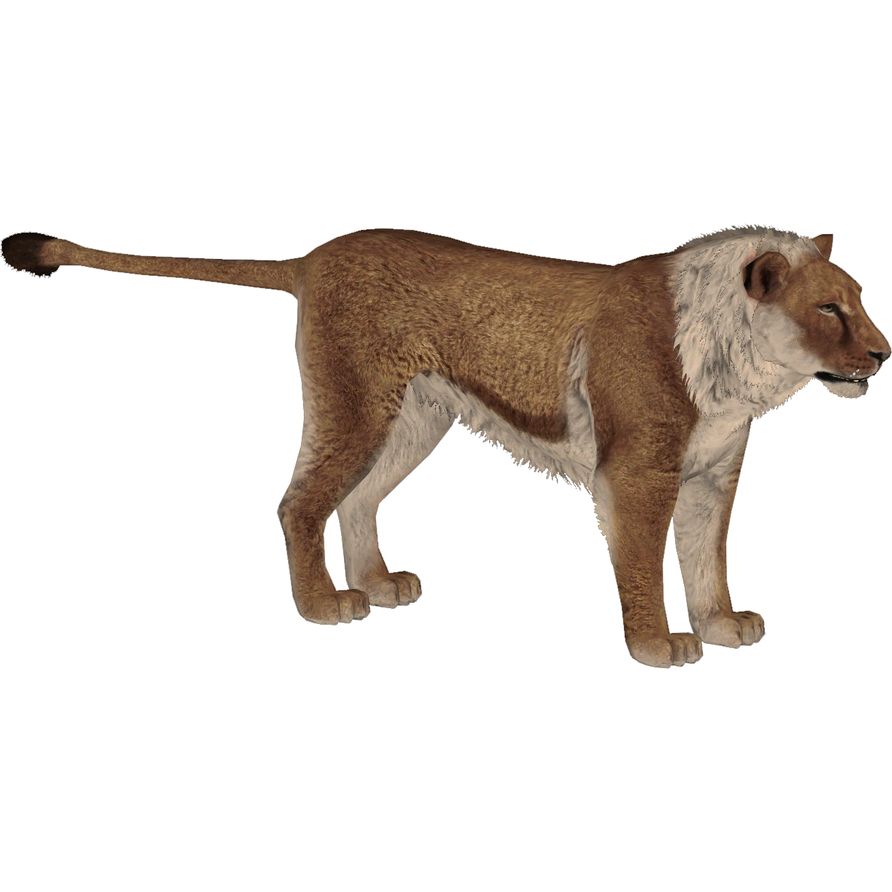 Mosbach Lion (Palaeoloxodon28) | ZT2 Download Library Wiki | Fandom