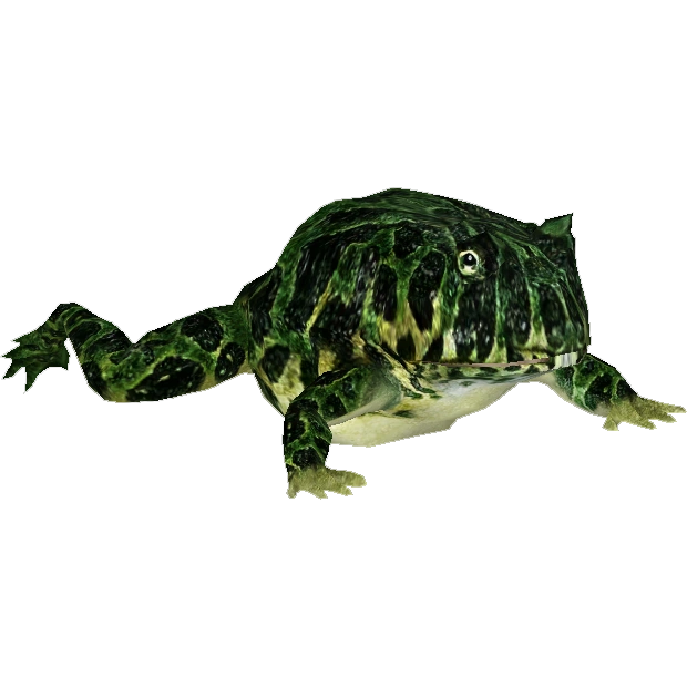 emerald pacman frog