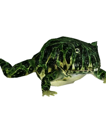 emerald pacman frog