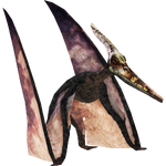 Pteranodon Sornaensis (Alvin Abreu)