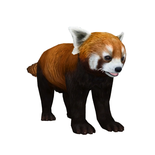 Red Panda (Aurora Designs) | ZT2 Download Library Wiki | Fandom