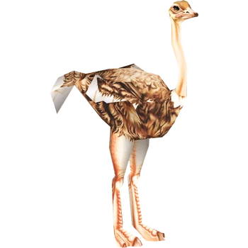 Arabian Ostrich (Dinosaur) | ZT2 Download Library Wiki | Fandom