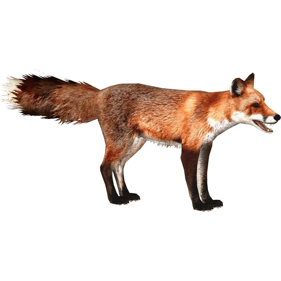 latest?cb=20150914185633