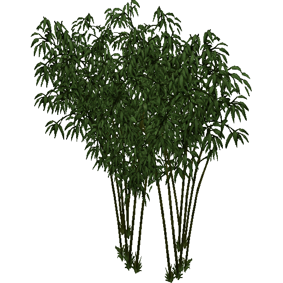 Celesteela - Bamboo Forest by Latiar010 -- Fur Affinity [dot] net