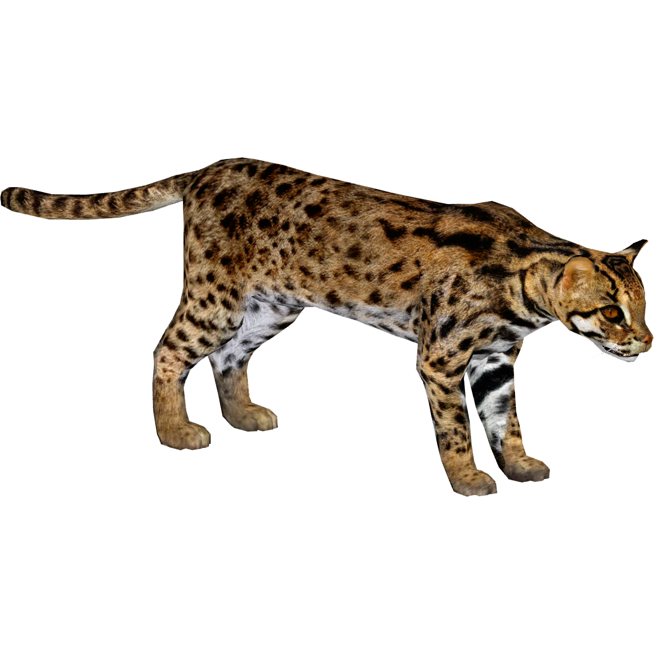 ★RIETI★ LEOPARD BIANCA RT 4045 C2 Leopard, Cat, Realistic Toy Model Plastic Replica Animal