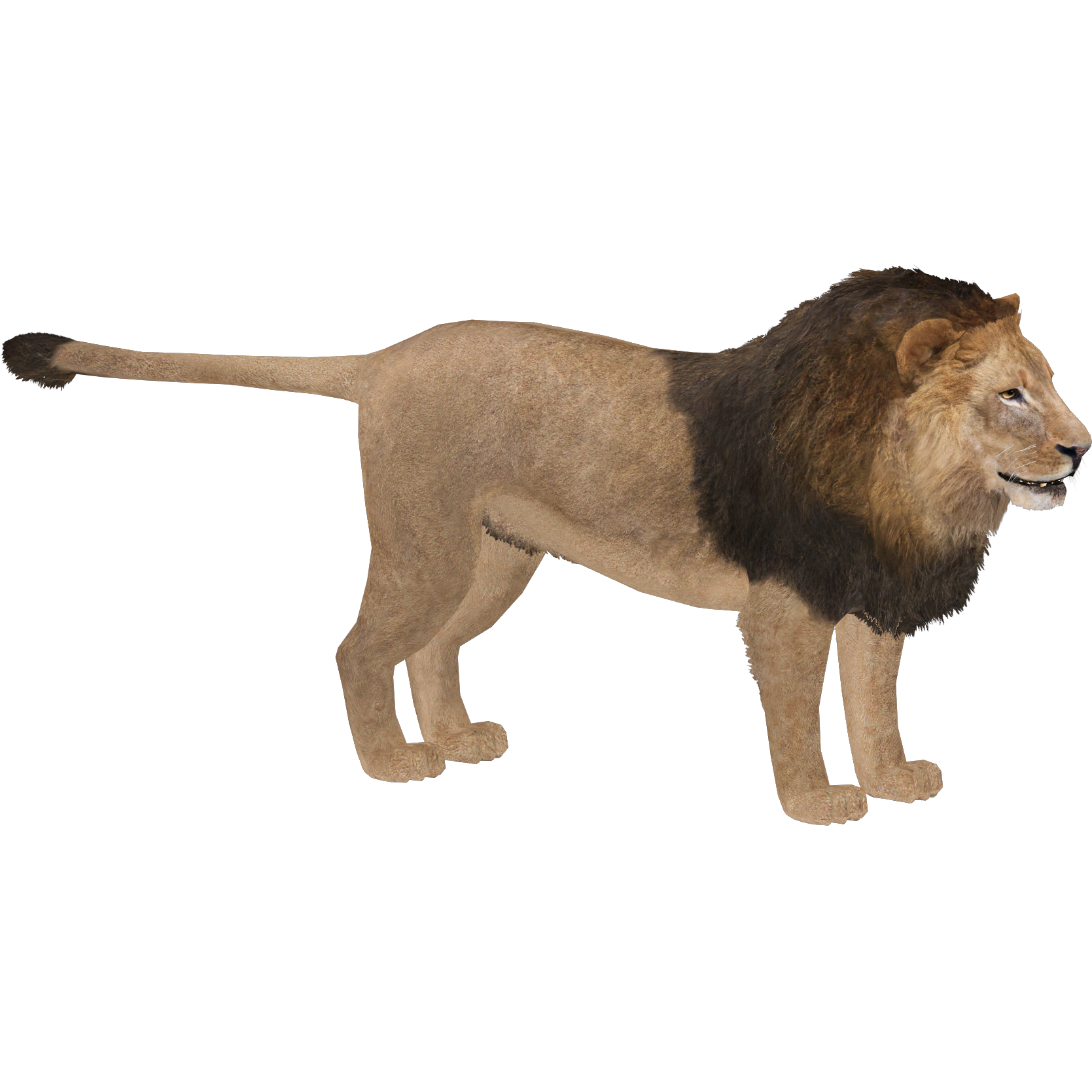 その他 Razrer Lion 2022 2 oz Silver Fierce Nature - Lion