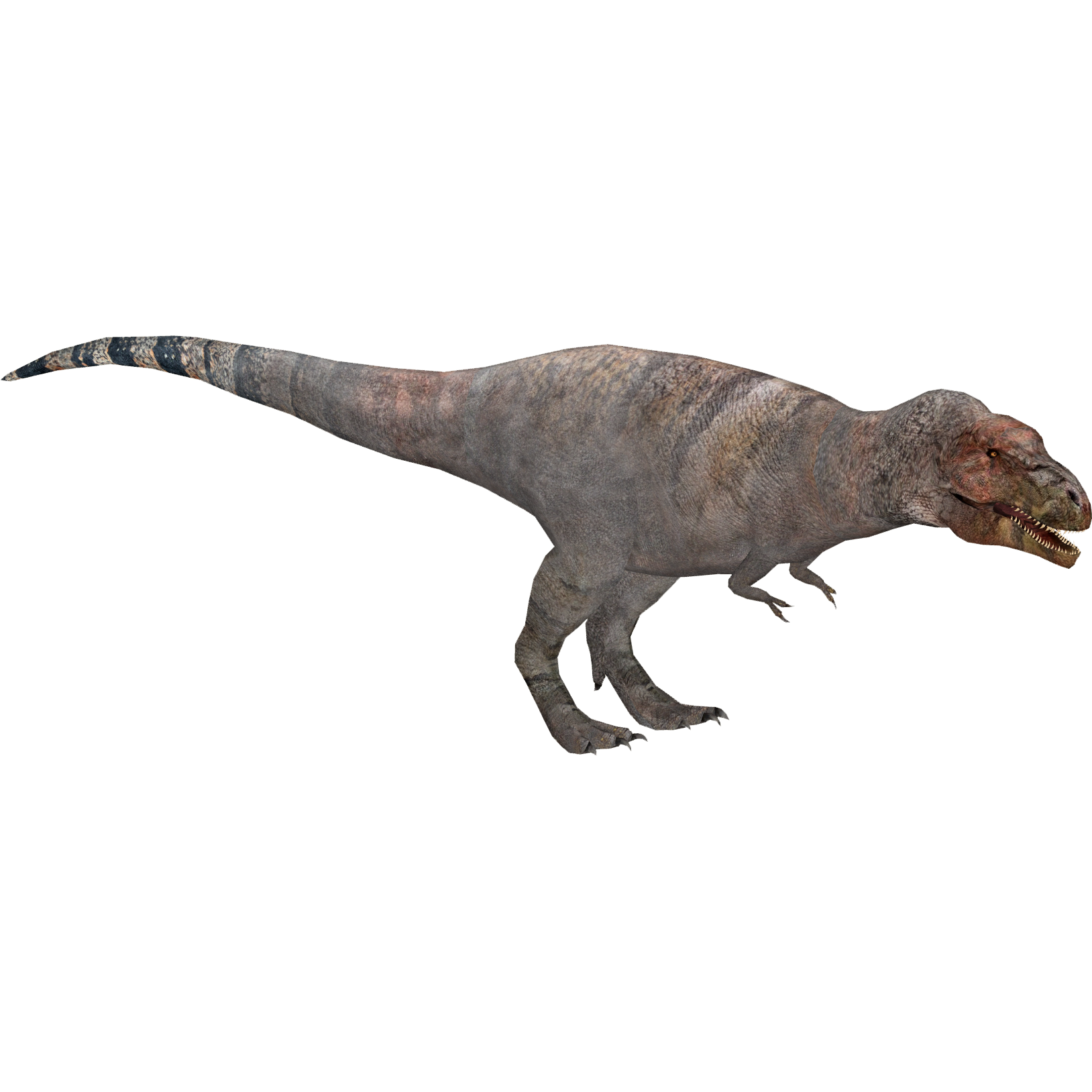 Tyrannosaurus rex, Zoo Tycoon Wiki