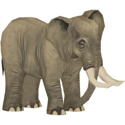 Category:Elephants | ZT2 Download Library Wiki | Fandom