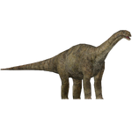 Jurassic Park Diplodocus (Mjmannella)