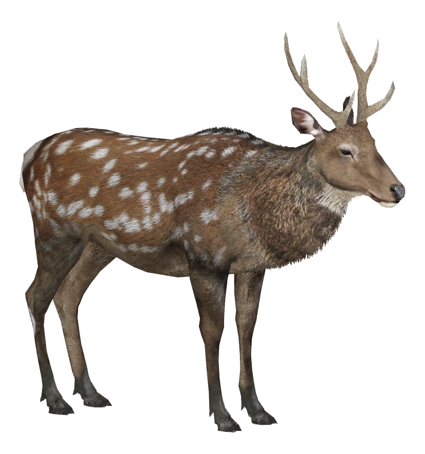 Sika Deer (Lgcfm) | ZT2 Download Library Wiki | Fandom