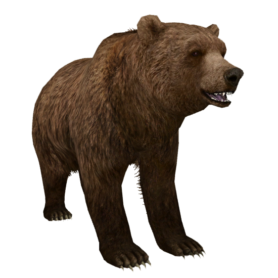 原画 「Grizzly」 B3サイズ Grizzly Bear (Aurora Designs) | ZT2 Download Library Wiki
