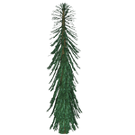 Wollemi Pine (Whalebite)/Version 1