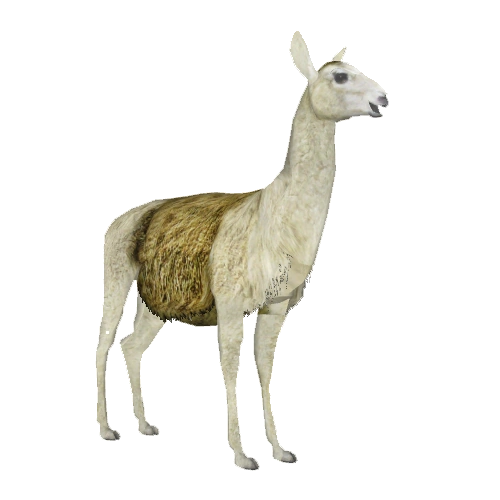 Llama (Zebrasorus) | ZT2 Download Library Wiki | Fandom