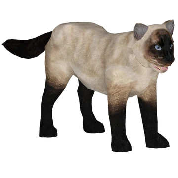 360?cb=20201115031359