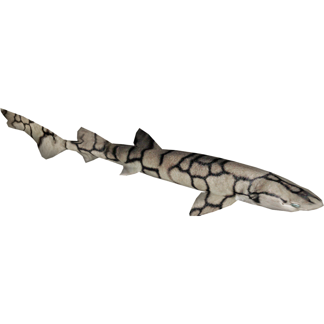 FaB 金融鮫　loan shark CF Loan Shark - High Seas - Flesh & Blood TCG - FaB Foundry